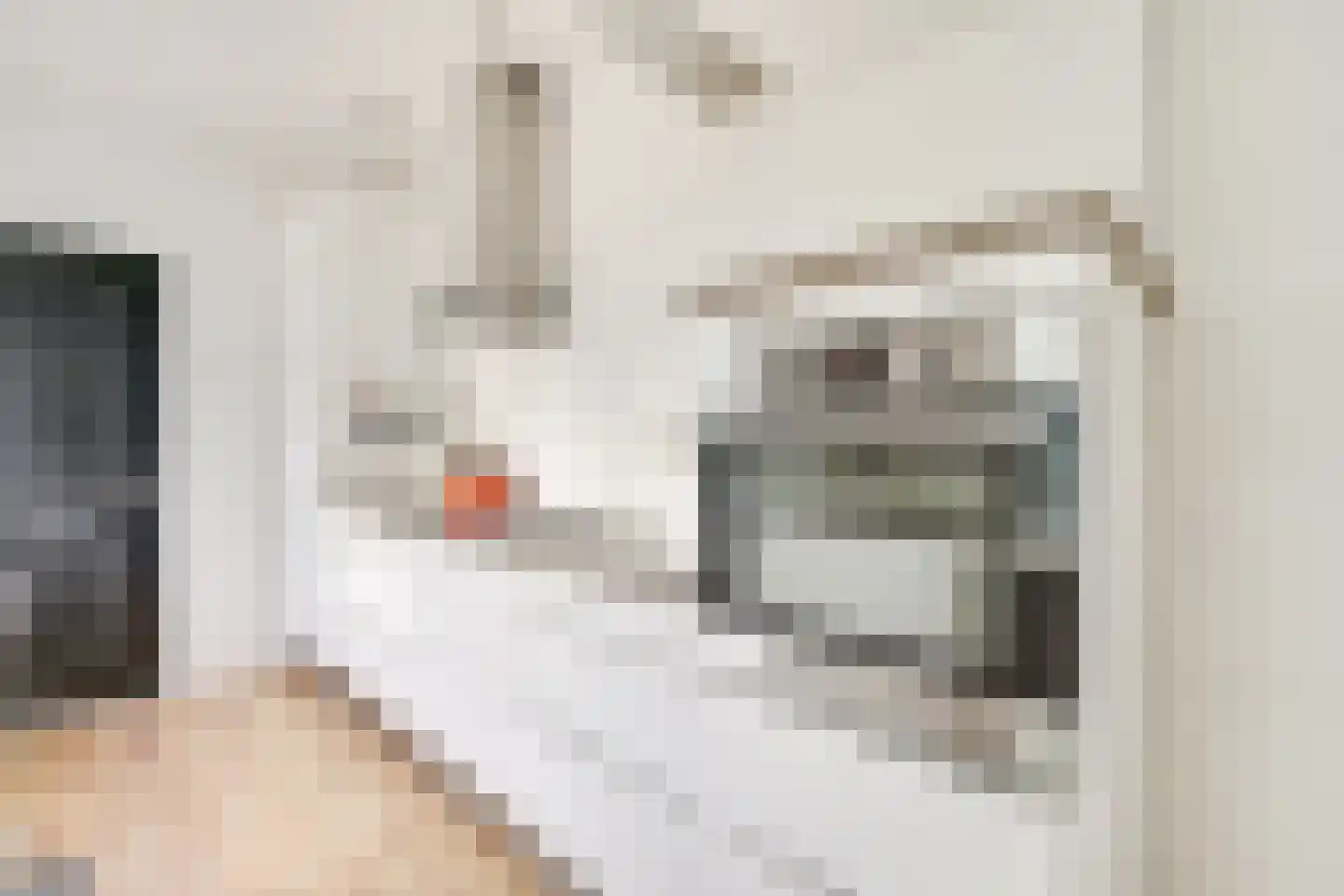 Cremerstraat 62 Utrecht thumbnail 4