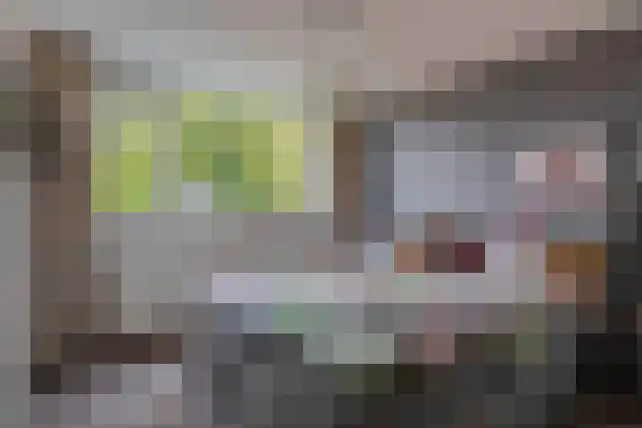 Cremerstraat 7 Harderwijk thumbnail 17