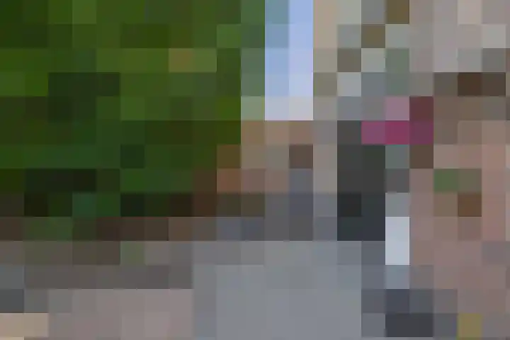 Cremerstraat 7 Harderwijk thumbnail 25