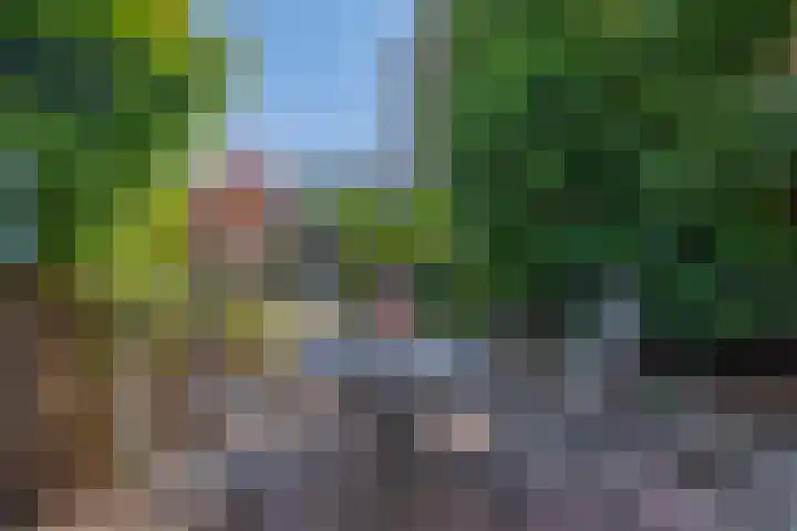 Cremerstraat 7 Harderwijk thumbnail 26