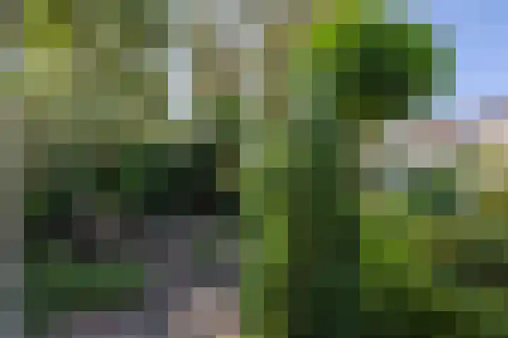 Cremerstraat 7 Harderwijk thumbnail 4