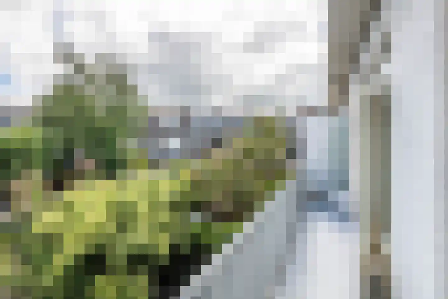 Cremerstraat 75 Haarlem thumbnail 7