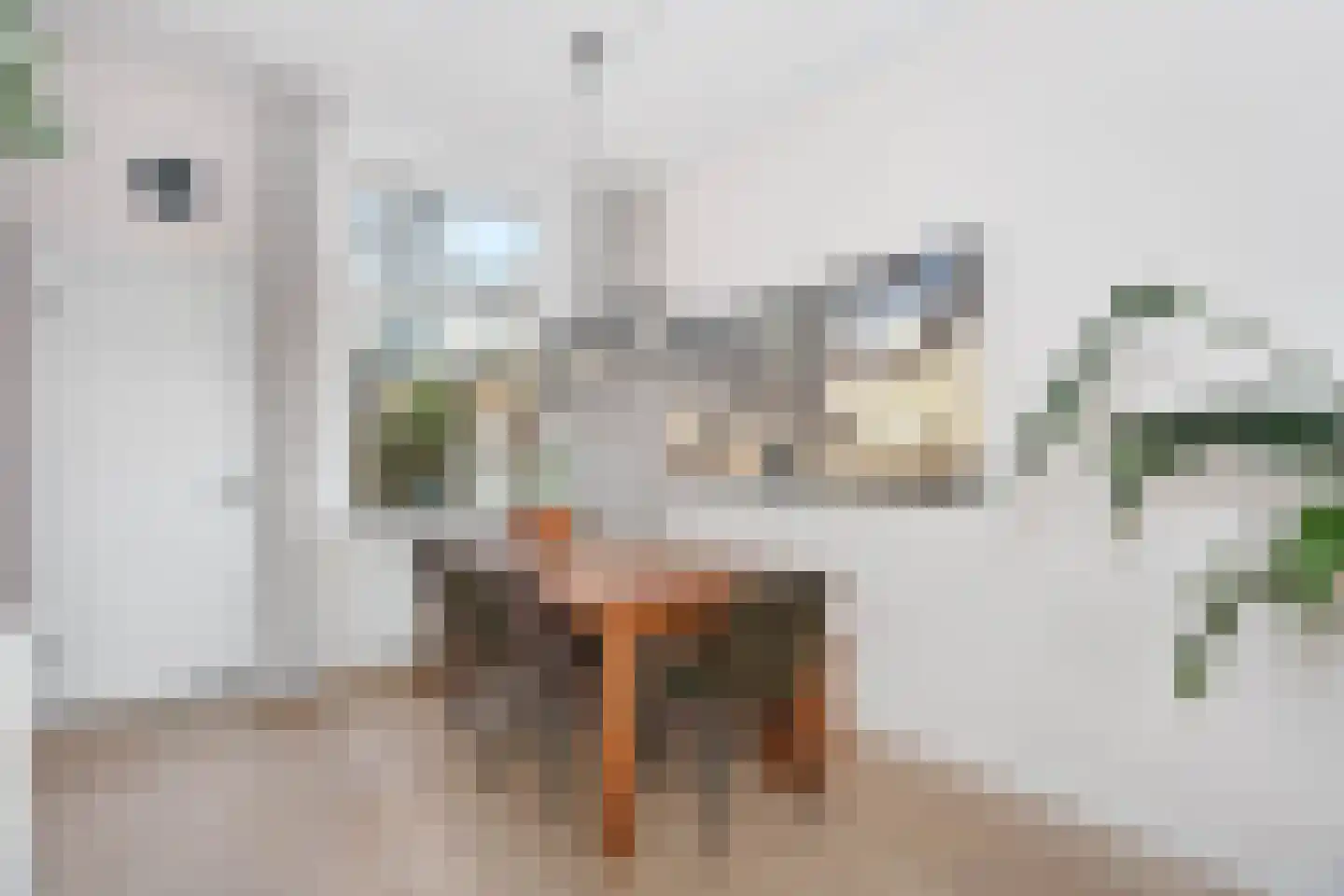 Cremerstraat 80 Utrecht thumbnail 8