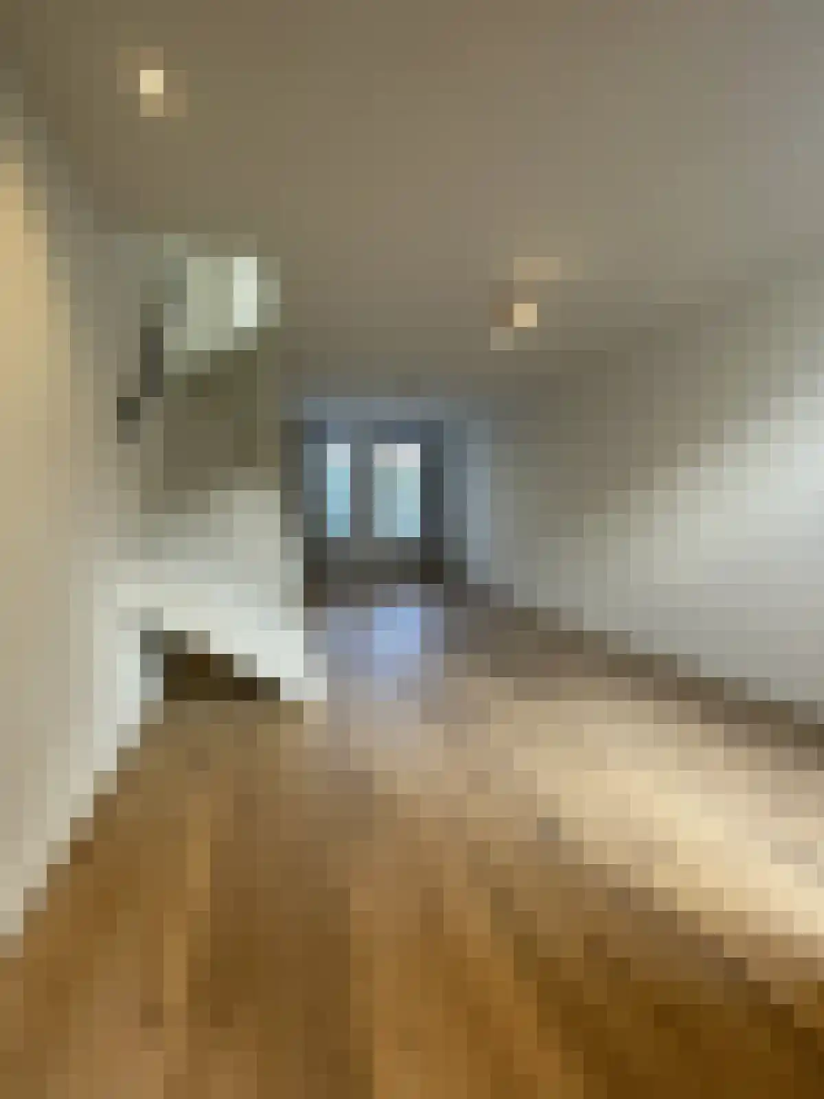 Cremerstraat 88 Utrecht thumbnail 4