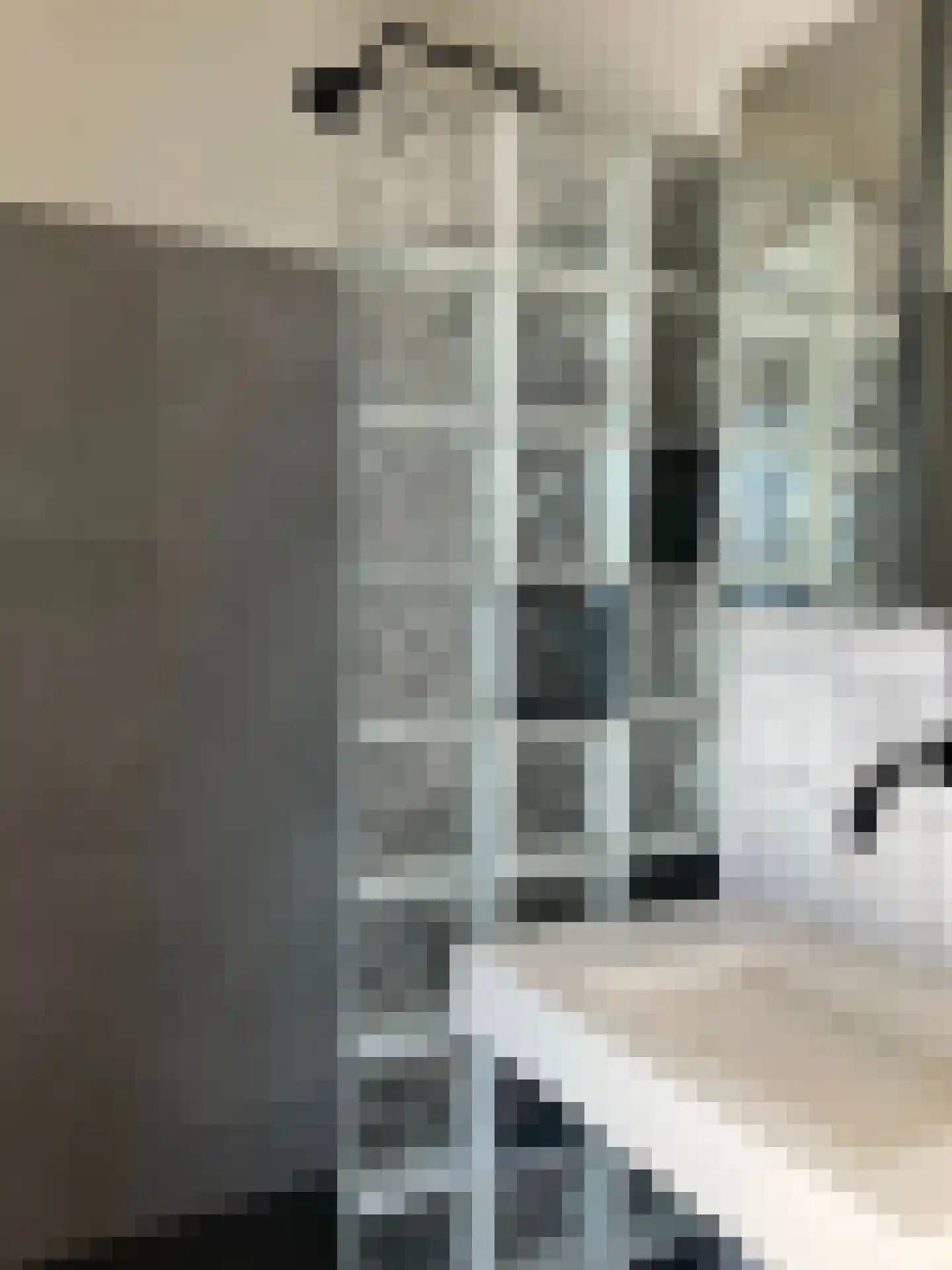 Creonlaan 69 Eindhoven thumbnail 10