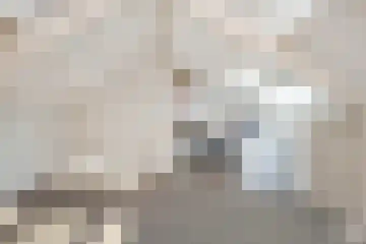 Crerarstraat 13 Sittard thumbnail 17