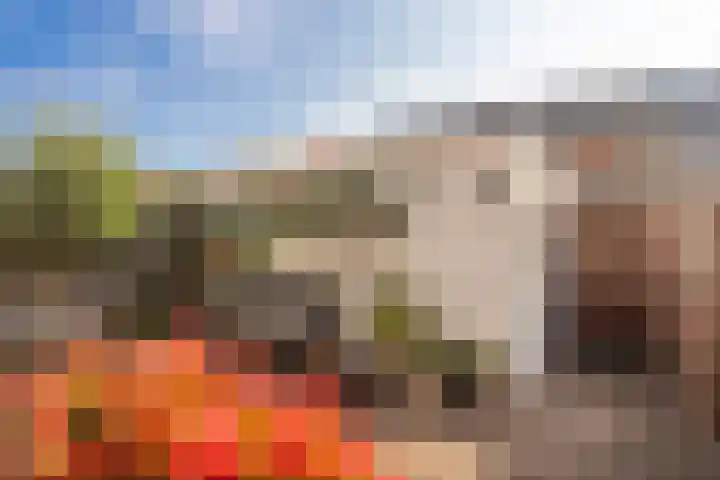 Crerarstraat 13 Sittard thumbnail 21