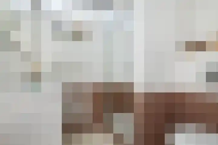 Crerarstraat 13 Sittard thumbnail 5