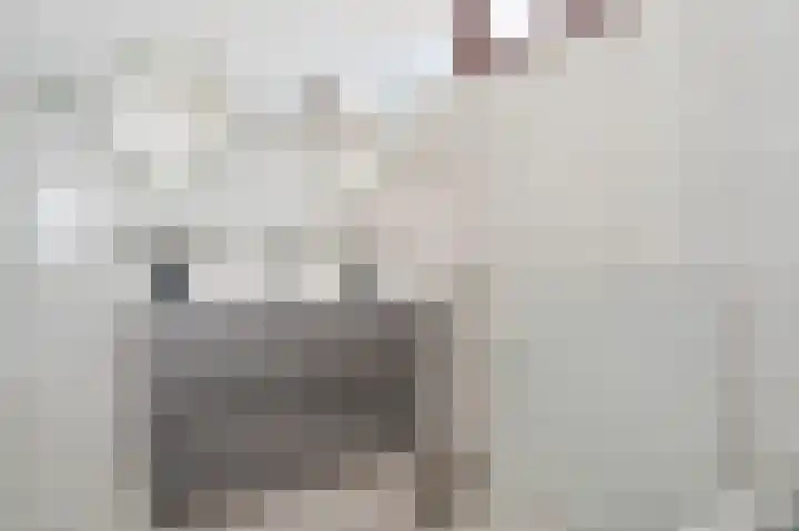 Crerarstraat 9 Sittard thumbnail 38
