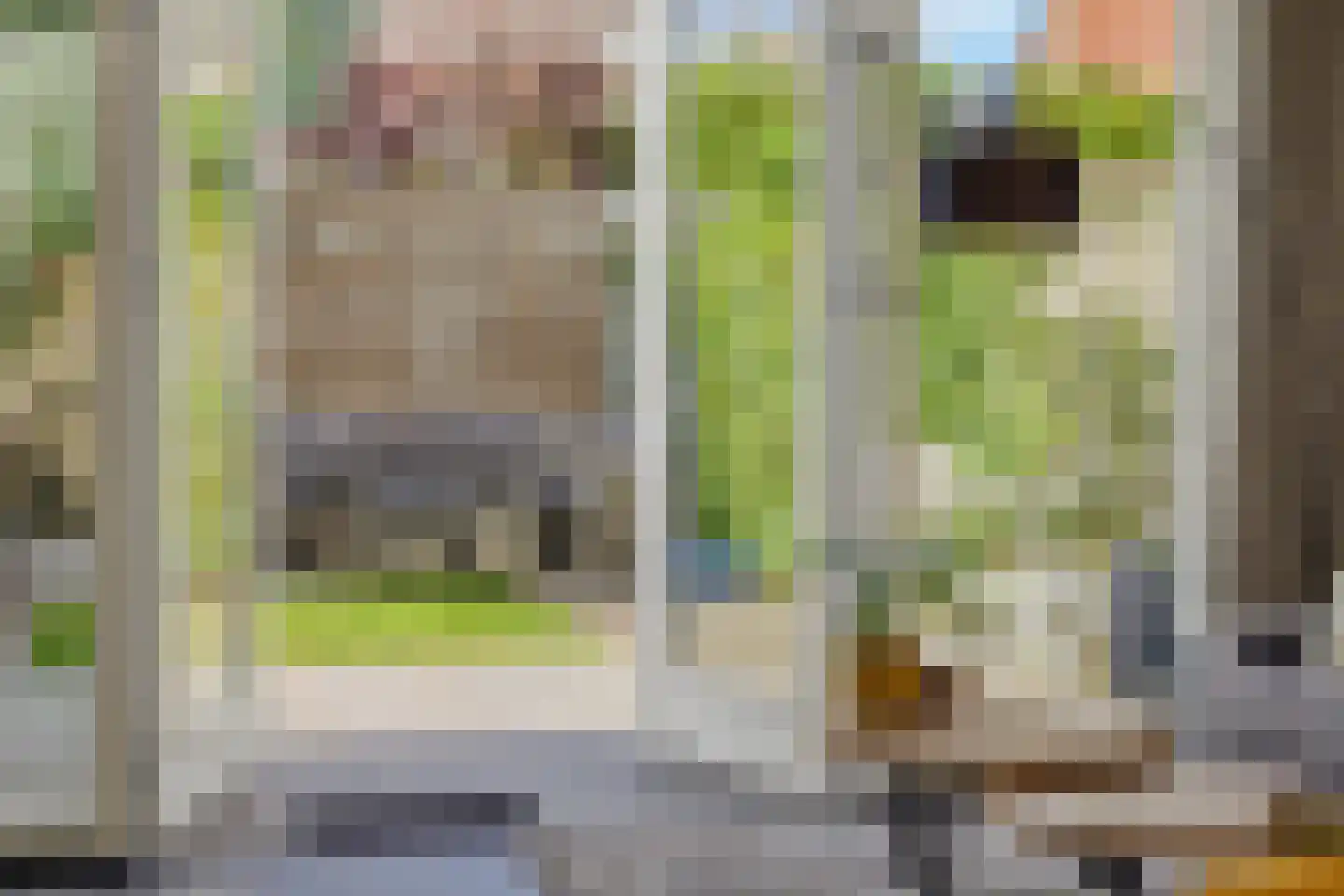 Crescendoweg 17 Rosmalen thumbnail 4