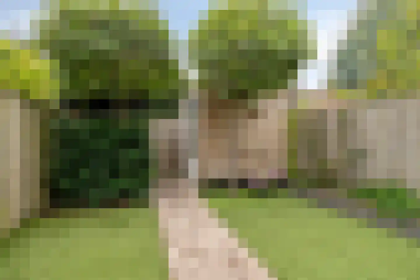 Crescendoweg 21 Rosmalen thumbnail 37
