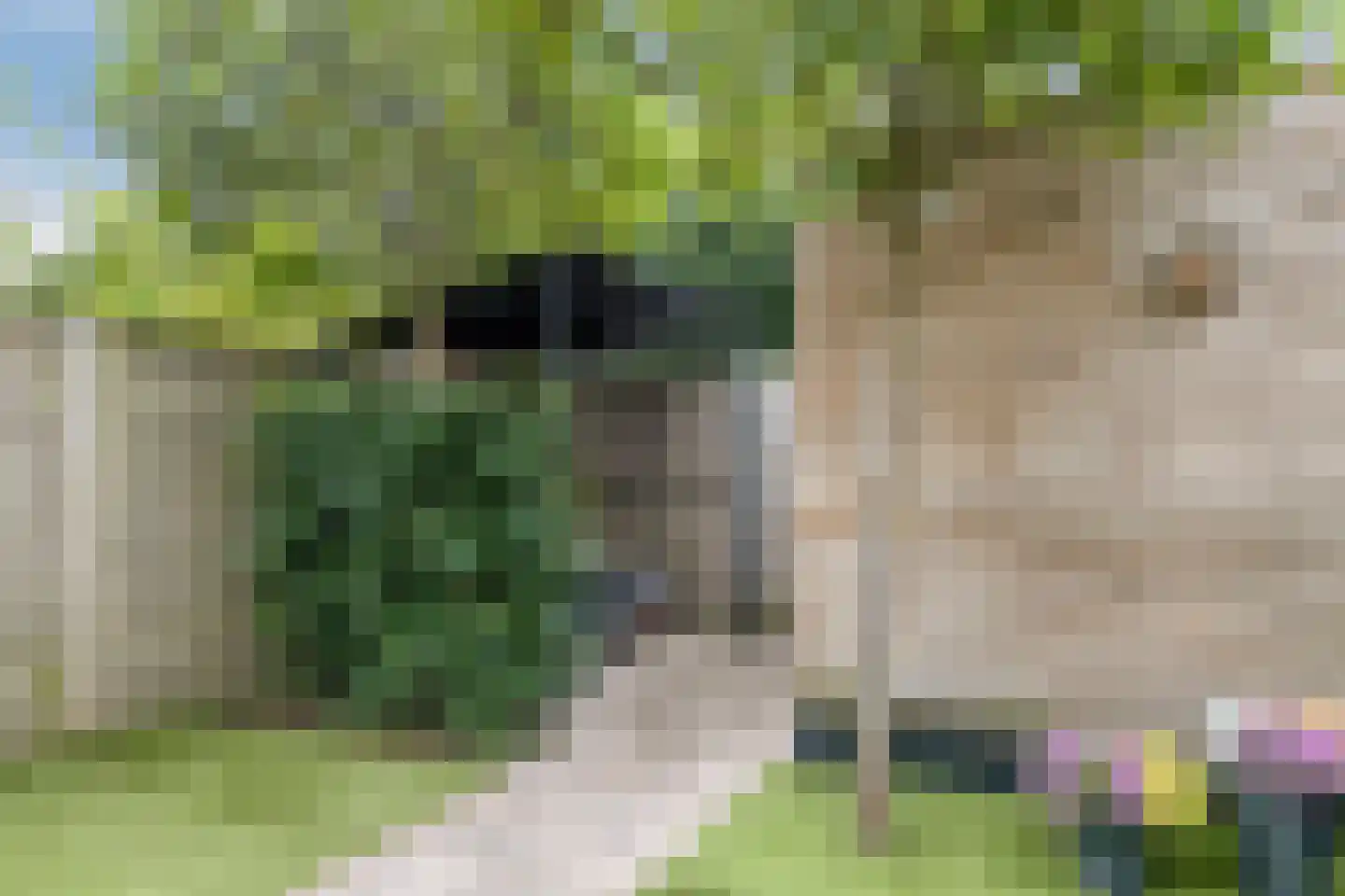 Crescendoweg 21 Rosmalen thumbnail 39