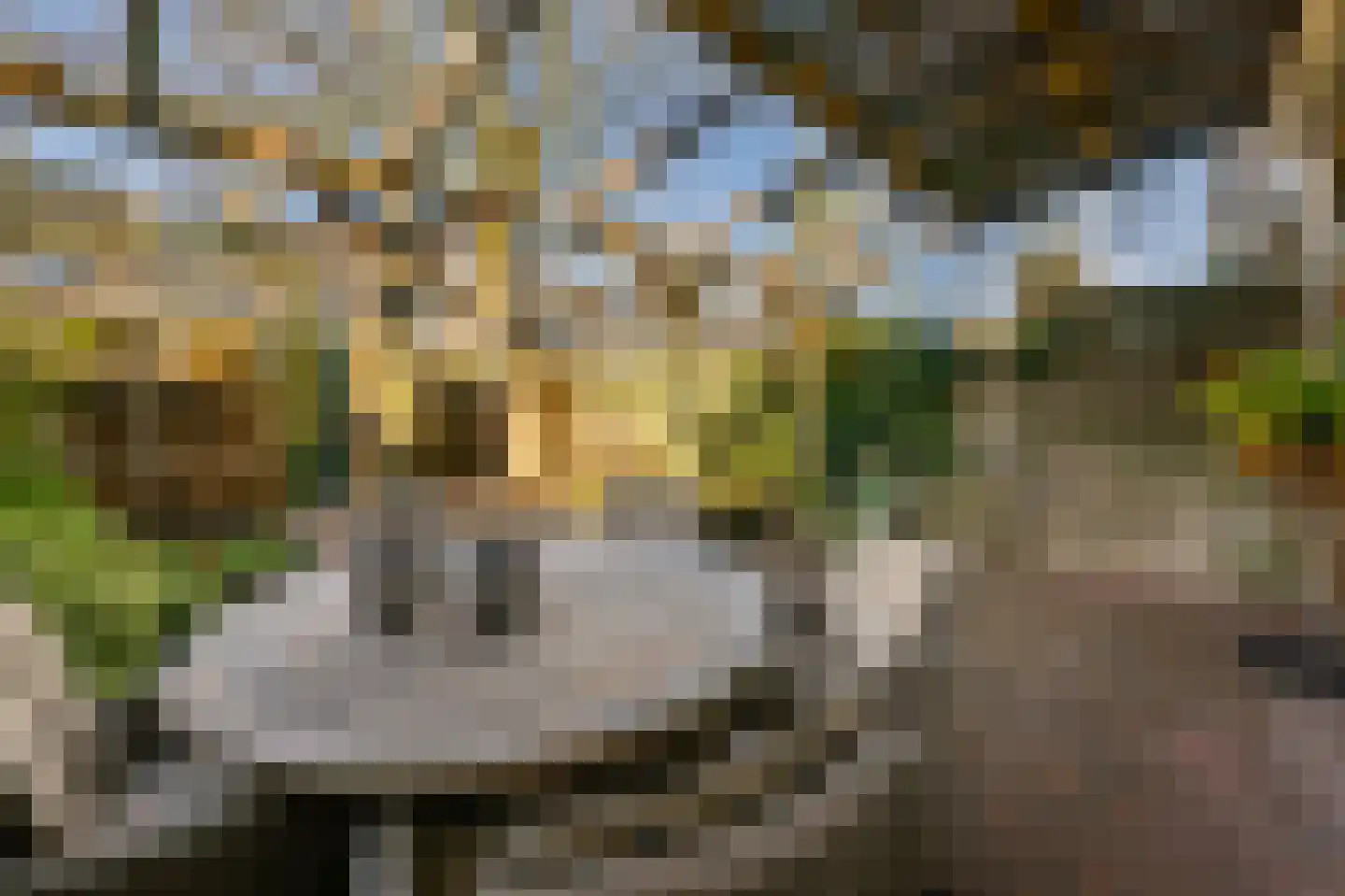 Cressantlaan 11 Alkmaar thumbnail 31