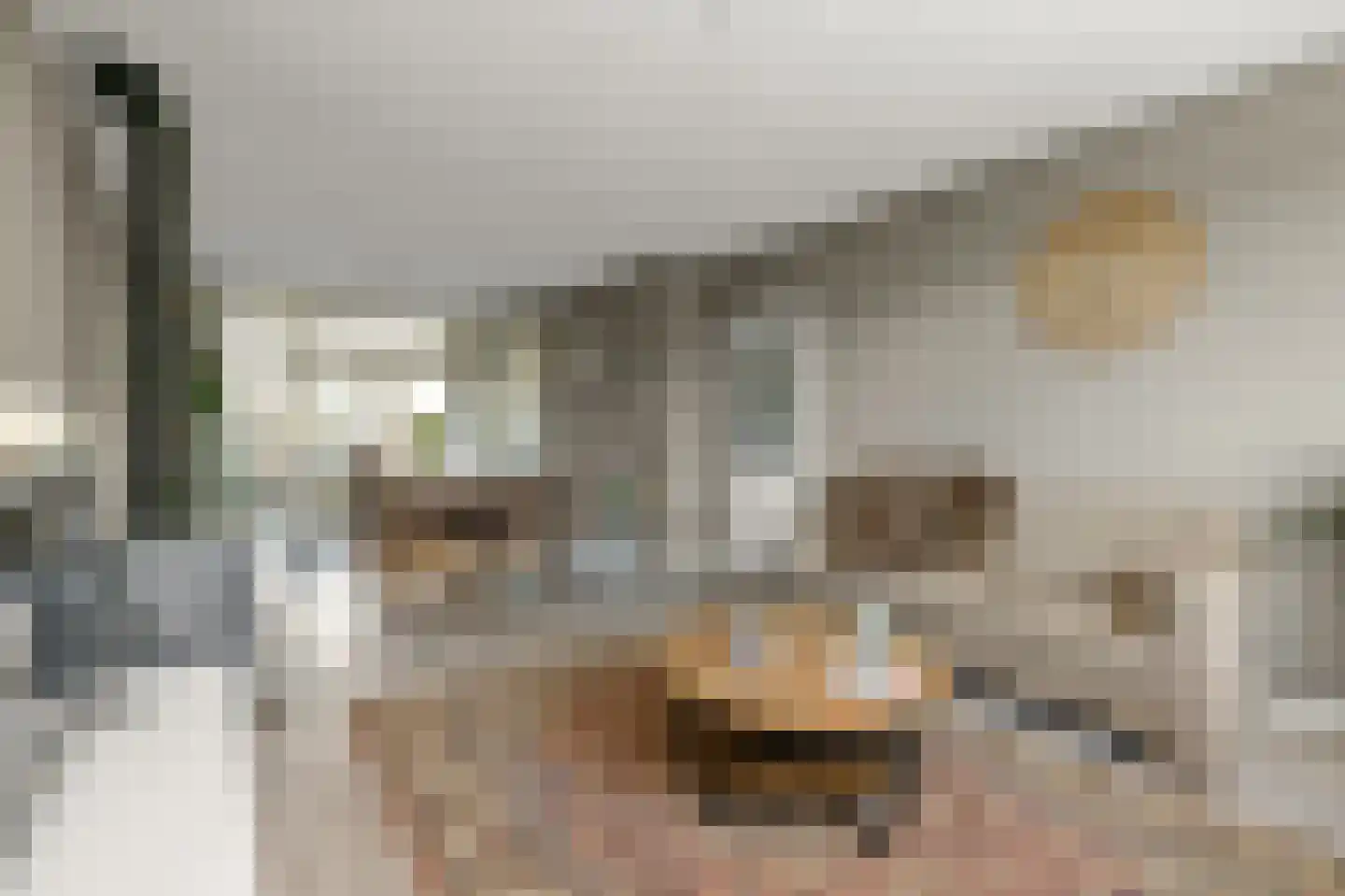Cressantlaan 11 Alkmaar thumbnail 5