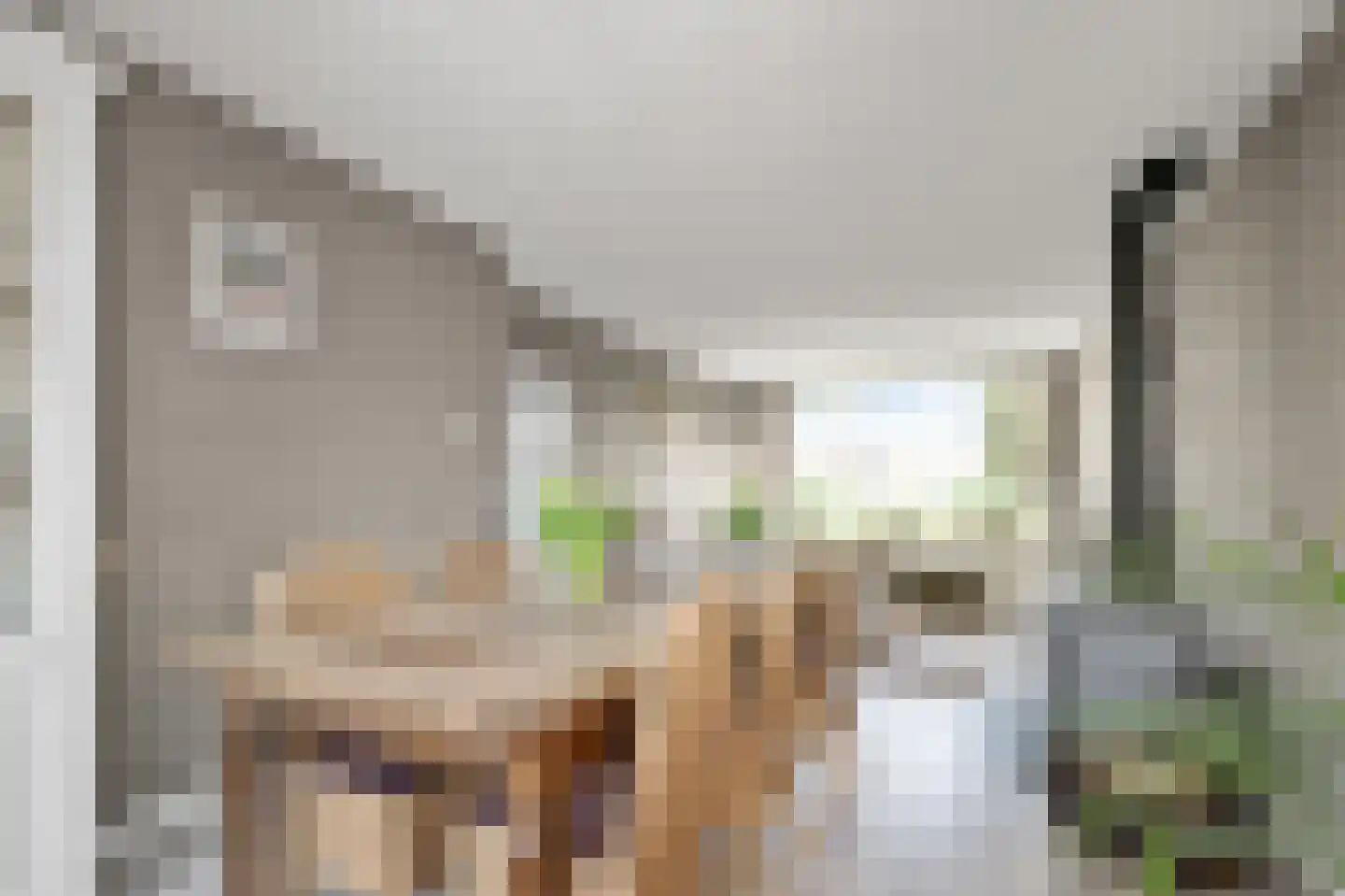Cressantlaan 11 Alkmaar thumbnail 9