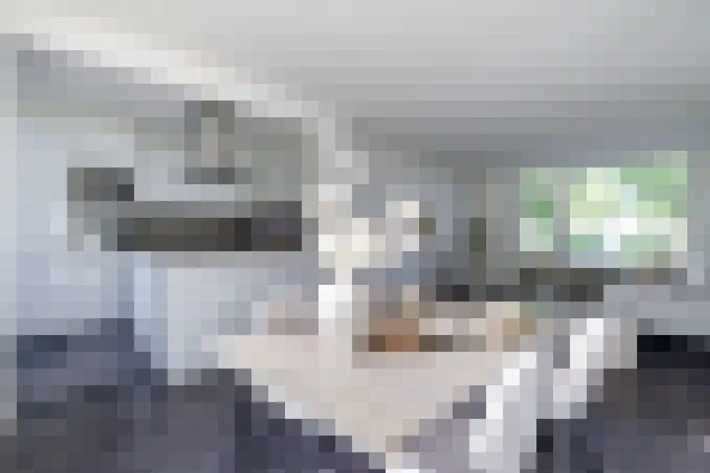 Cressantlaan 13 Alkmaar thumbnail 11