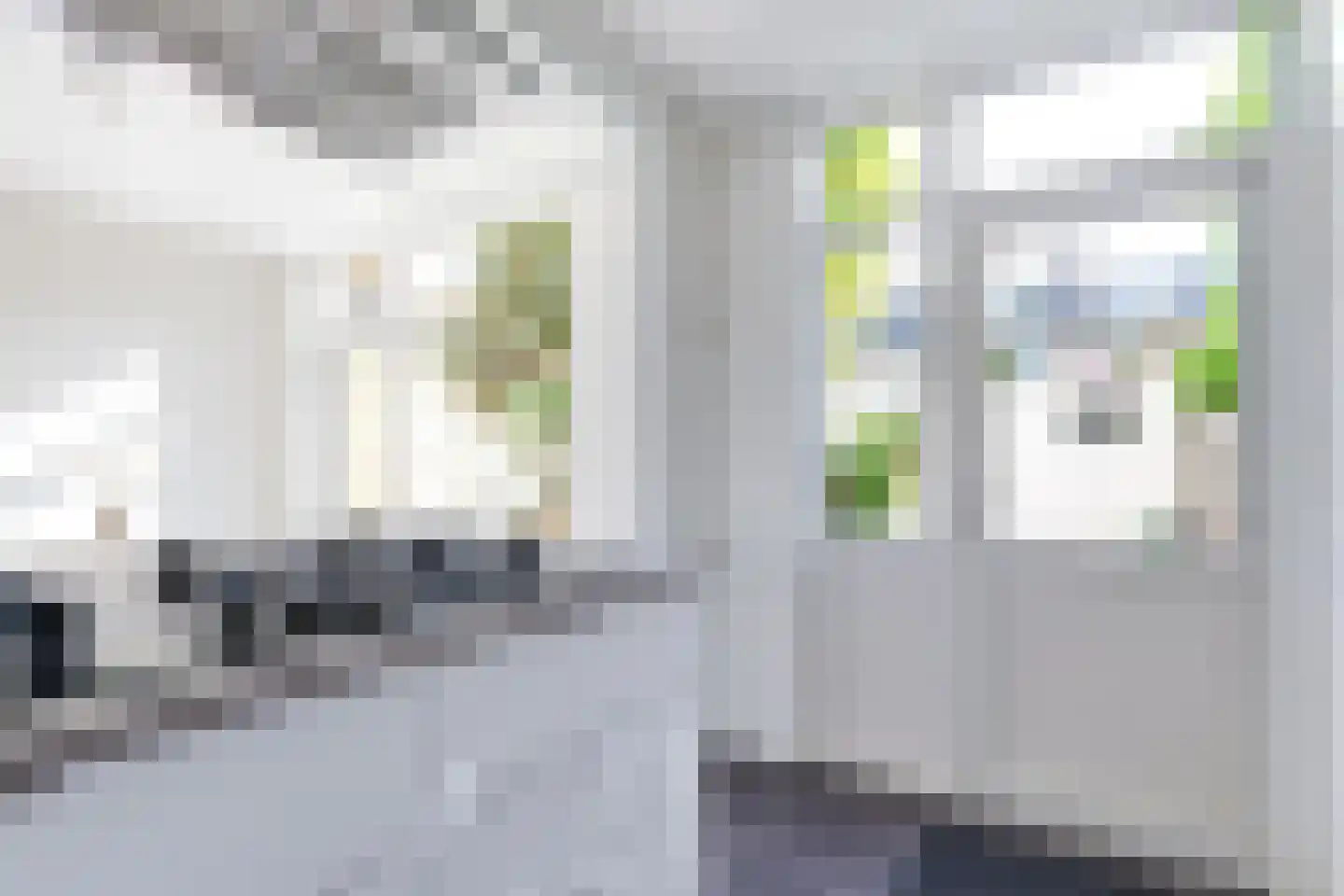 Cressantlaan 13 Alkmaar thumbnail 14
