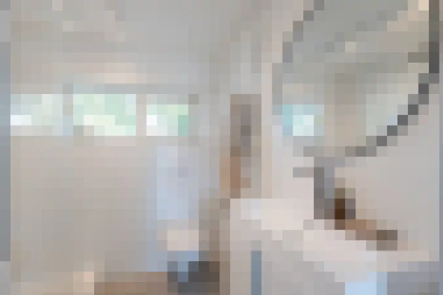 Cressantlaan 13 Alkmaar thumbnail 27