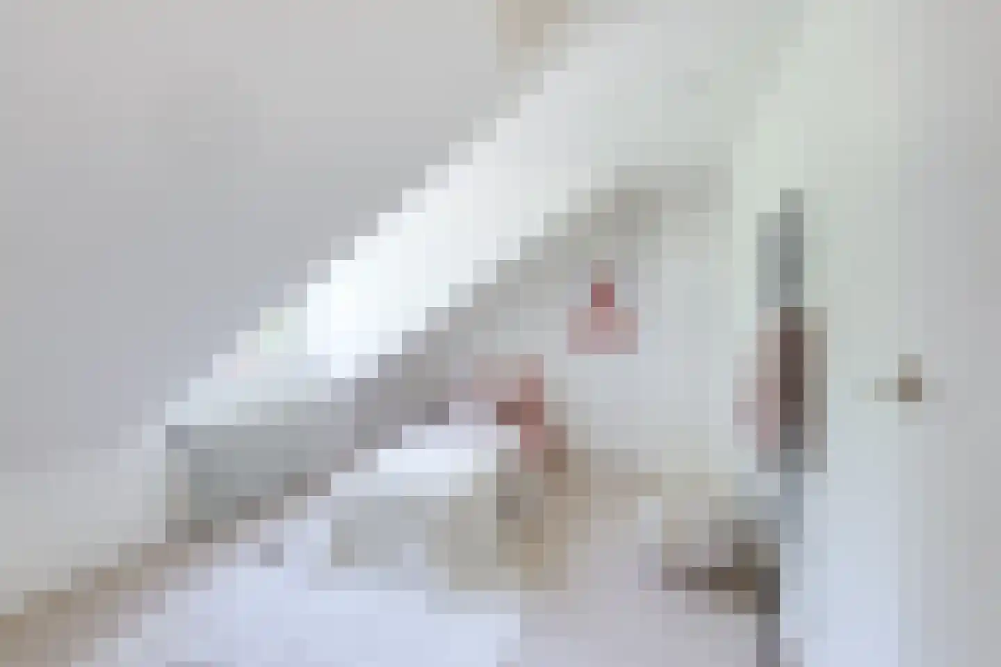 Cressantlaan 13 Alkmaar thumbnail 31