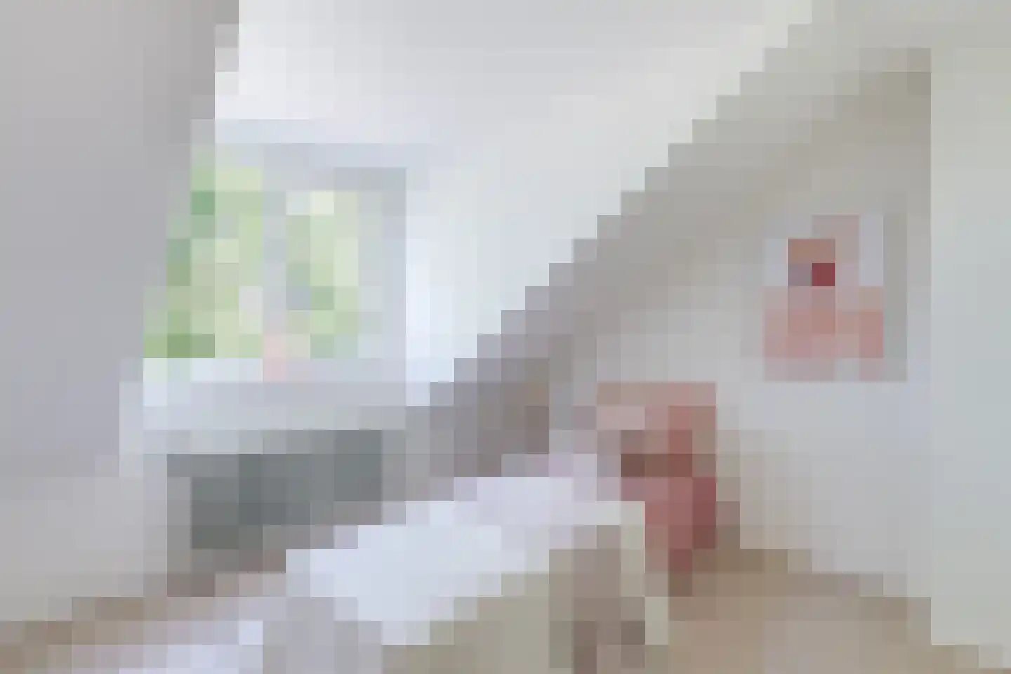 Cressantlaan 13 Alkmaar thumbnail 32