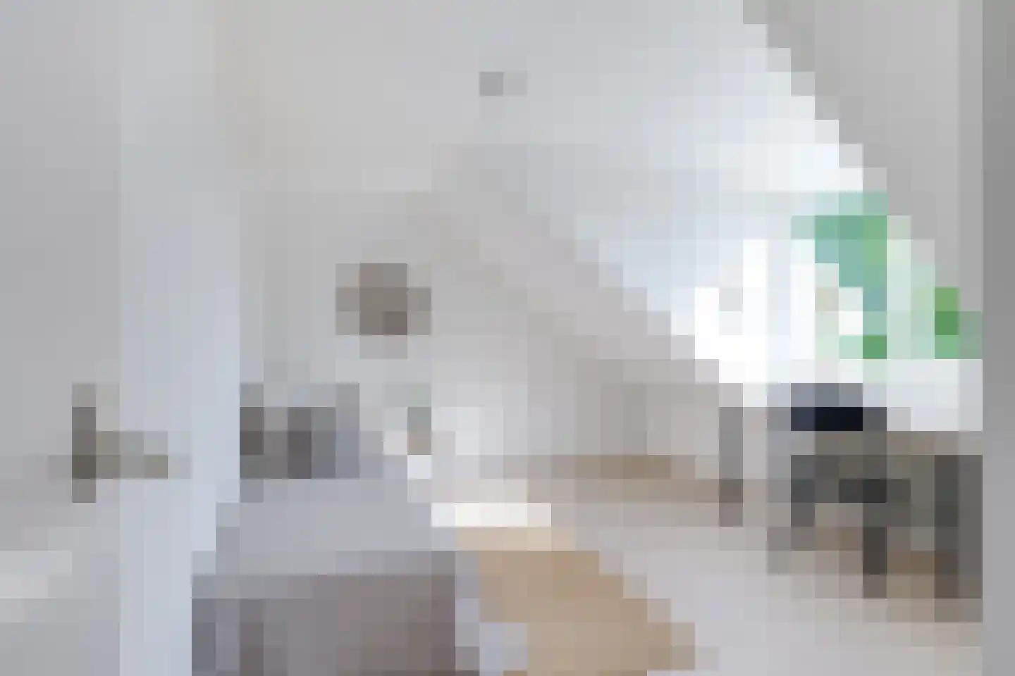 Cressantlaan 13 Alkmaar thumbnail 34