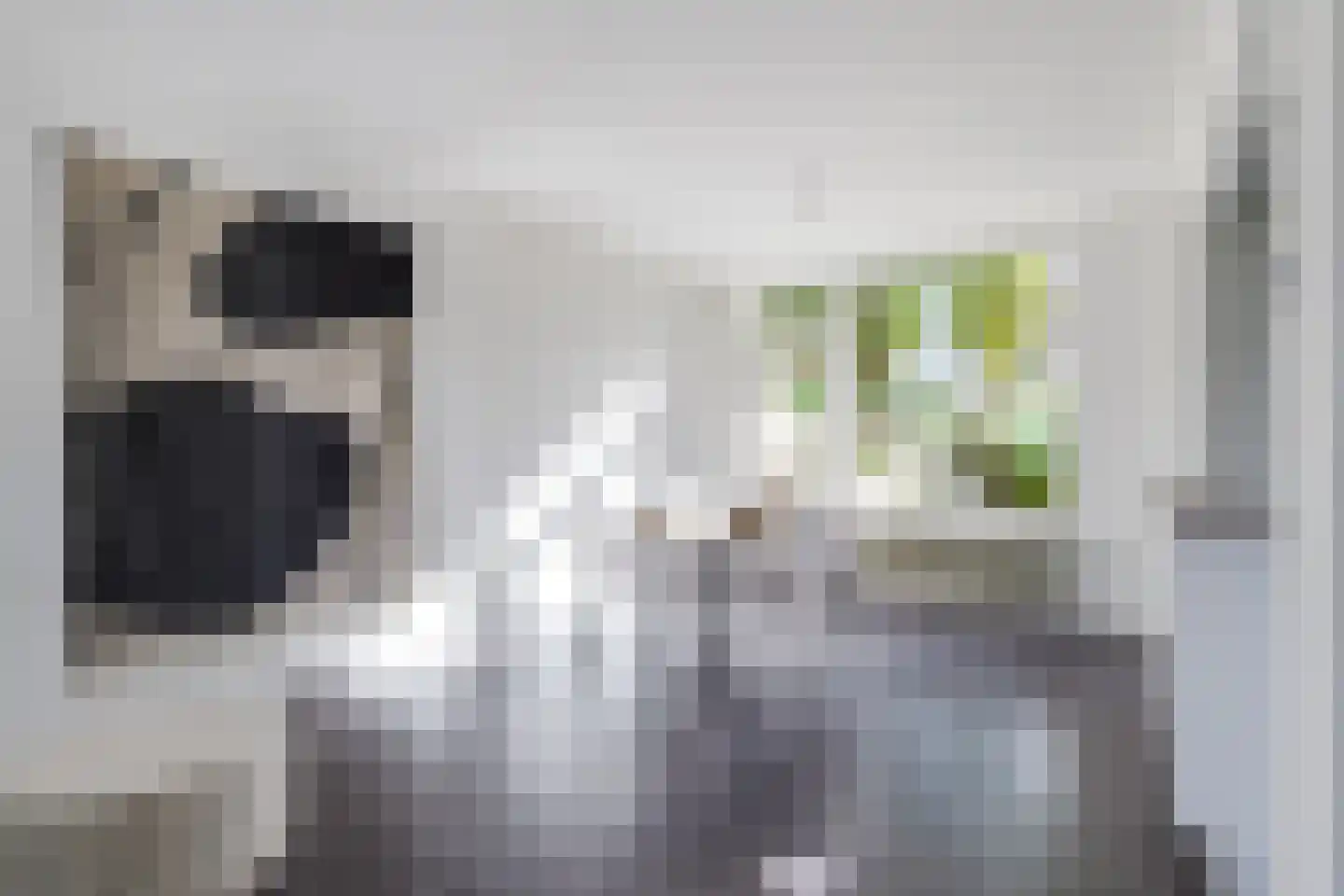 Cressantlaan 13 Alkmaar thumbnail 9
