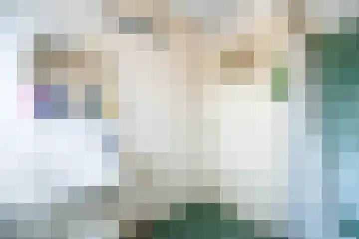 Creutzberglaan 128 Beverwijk thumbnail 20