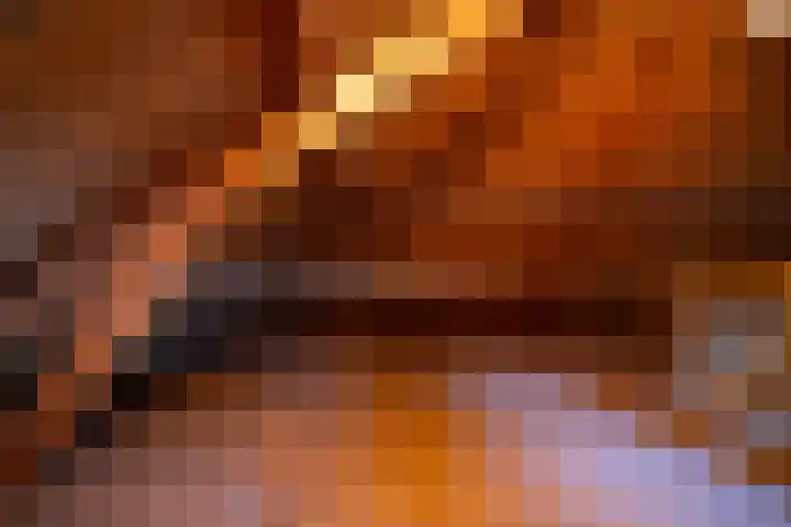 Creutzberglaan 128 Beverwijk thumbnail 28