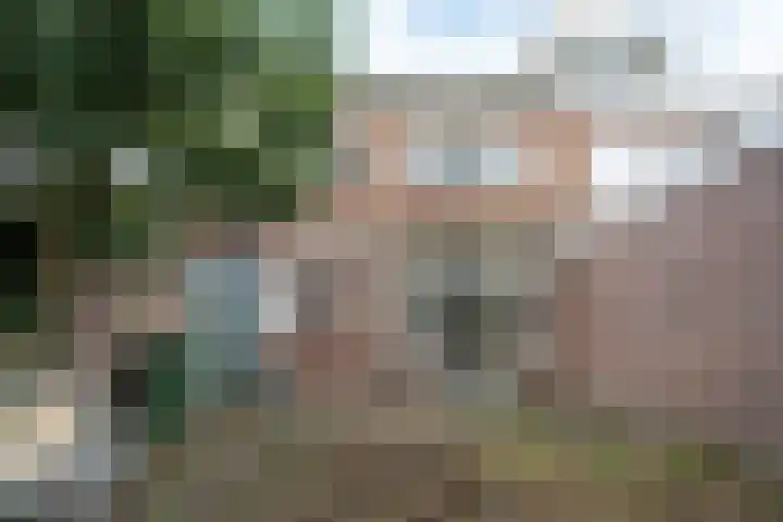 Creutzberglaan 128 Beverwijk thumbnail 29