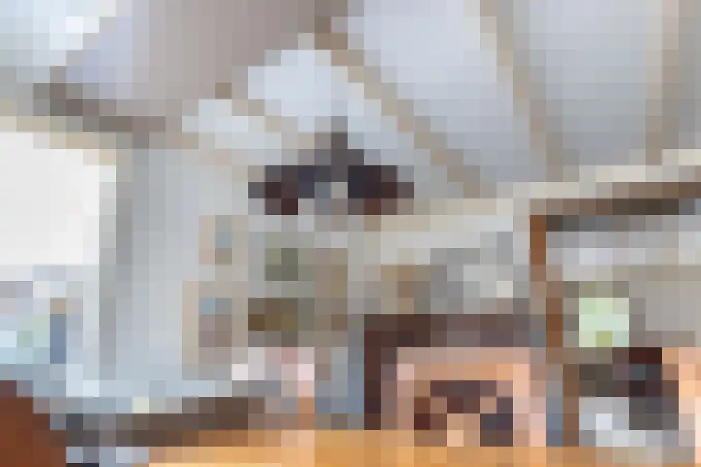 Creutzberglaan 151 B Beverwijk thumbnail 17