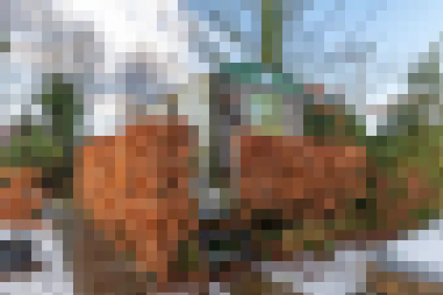Creutzberglaan 151 B Beverwijk thumbnail 37