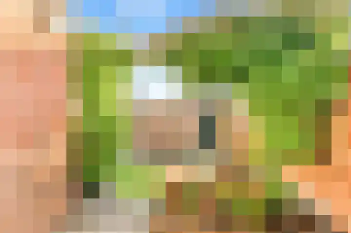 Creutzberglaan 154 Beverwijk thumbnail 33