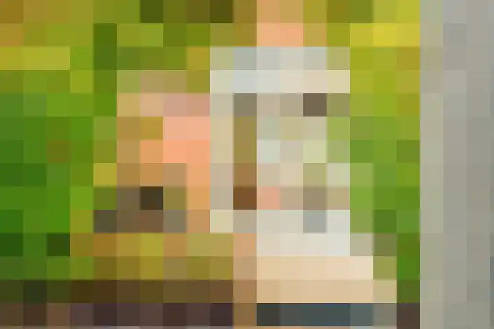 Creutzberglaan 154 Beverwijk thumbnail 36