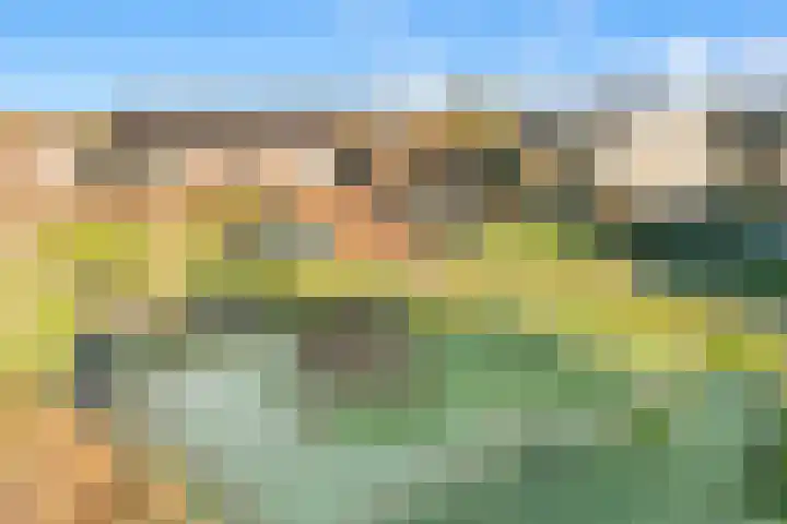 Creutzberglaan 154 Beverwijk thumbnail 44