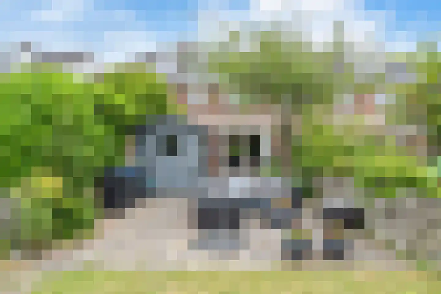 Creutzberglaan 51 Beverwijk thumbnail 29