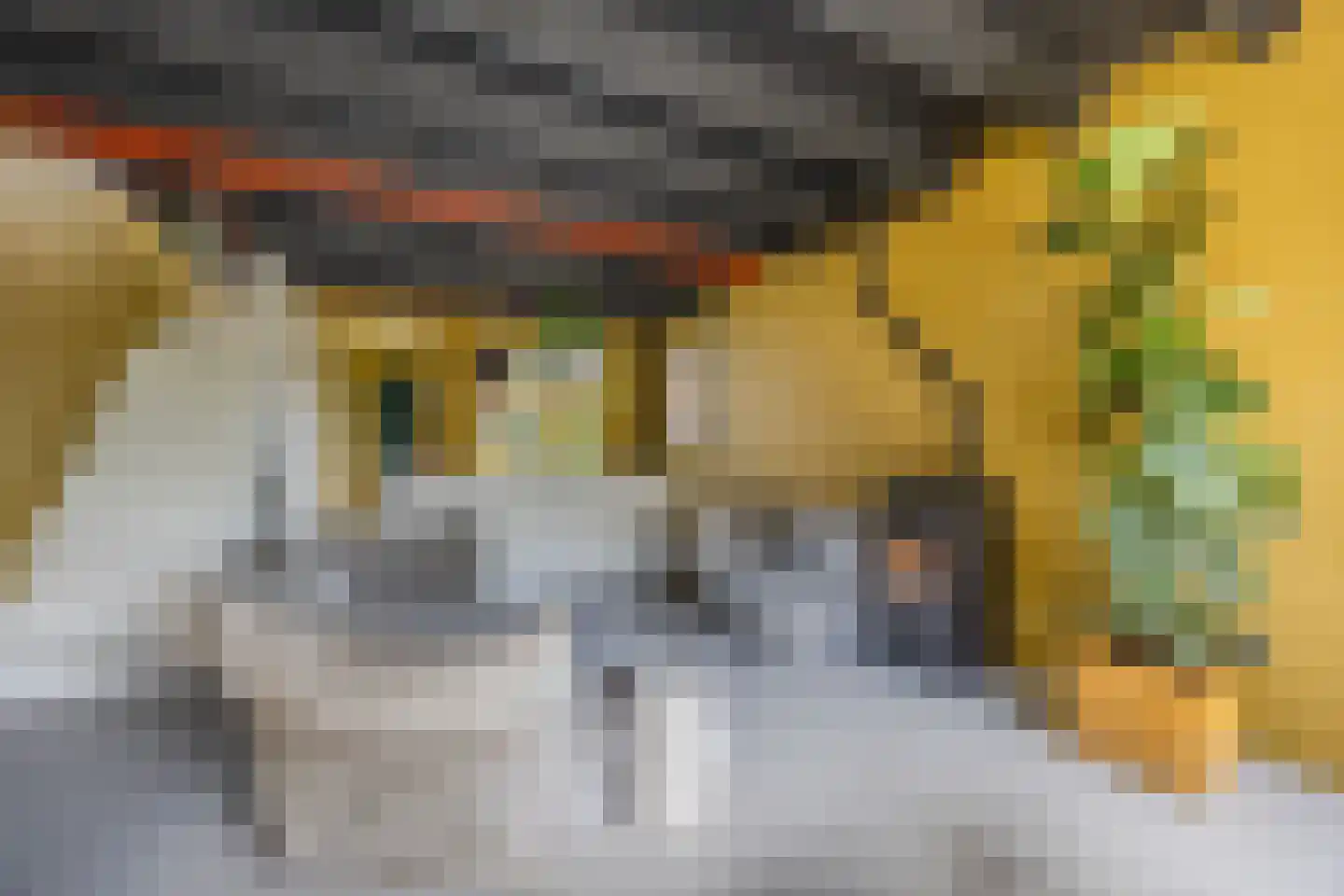 Creutzberglaan 88 Beverwijk thumbnail 13