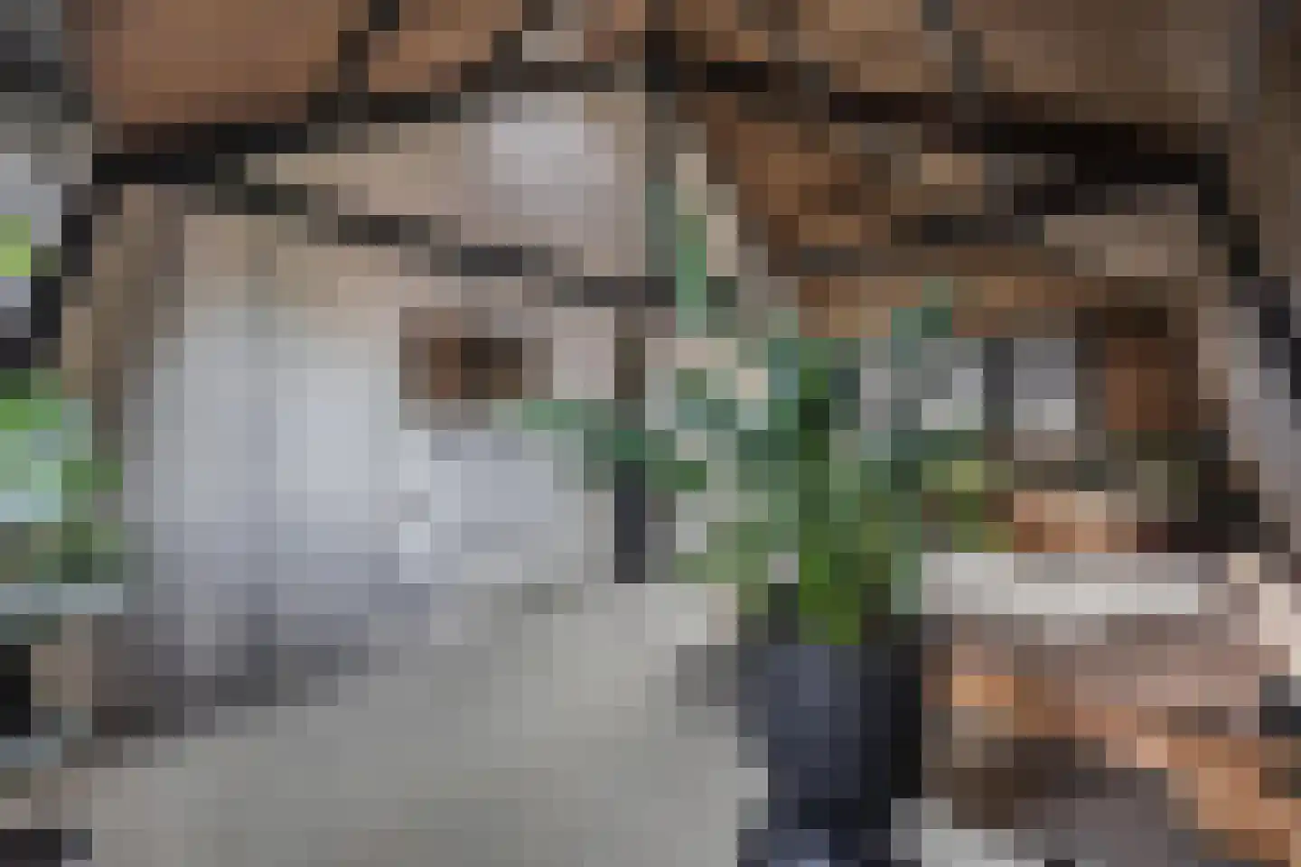 Creutzberglaan 88 Beverwijk thumbnail 29