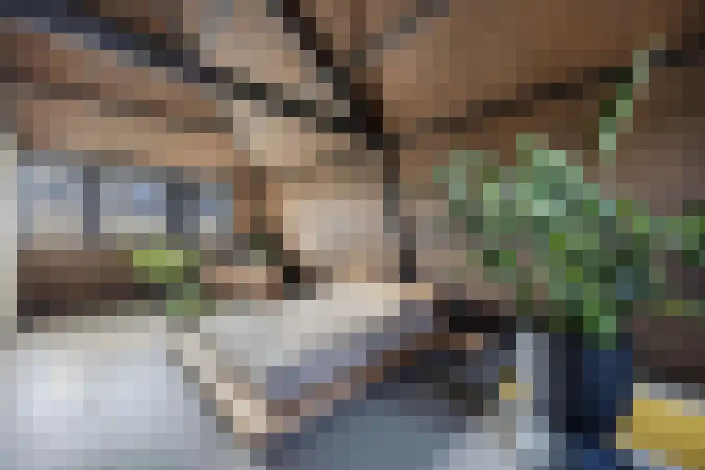 Creutzberglaan 88 Beverwijk thumbnail 32
