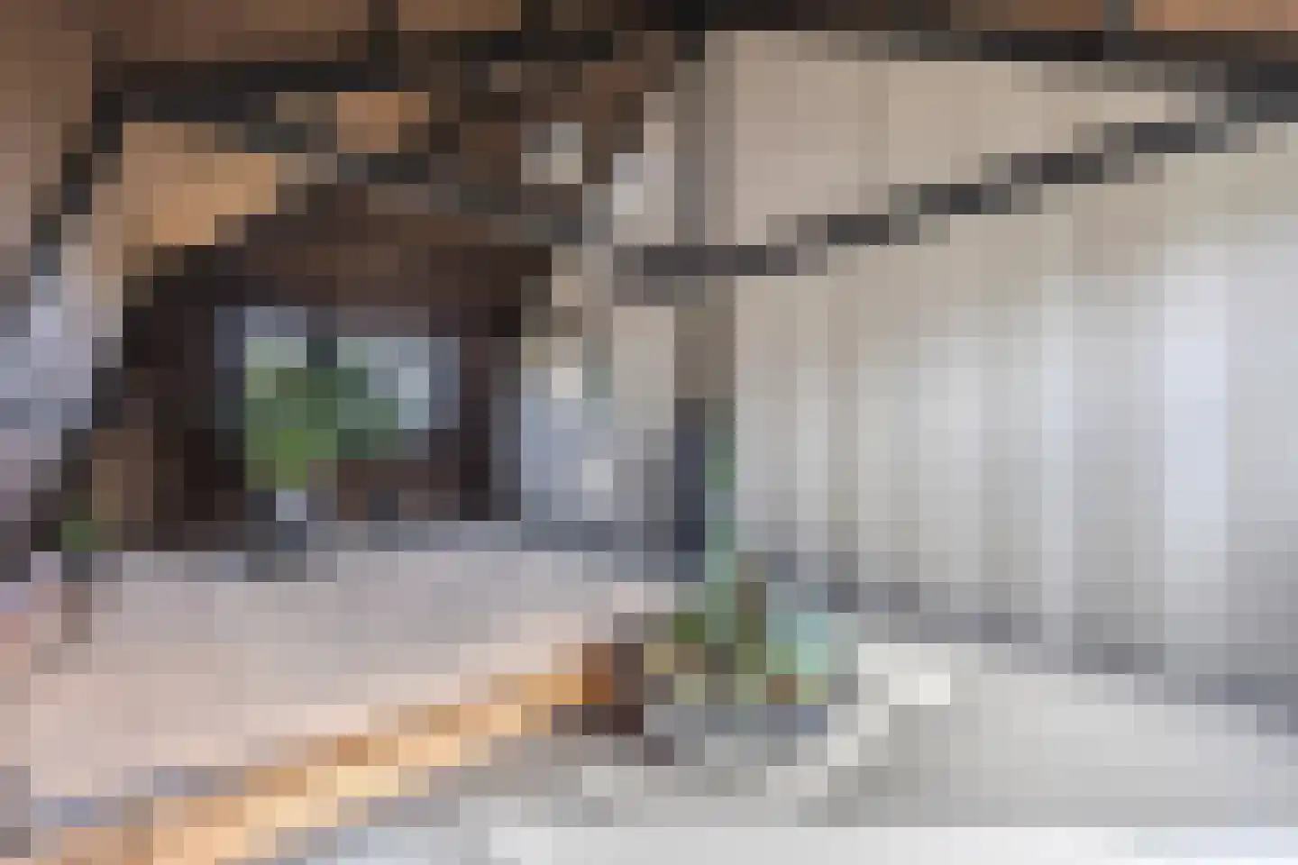 Creutzberglaan 88 Beverwijk thumbnail 33
