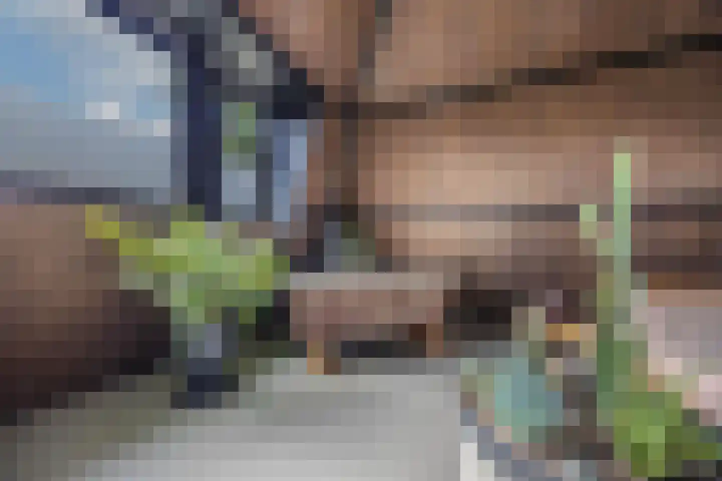 Creutzberglaan 88 Beverwijk thumbnail 34