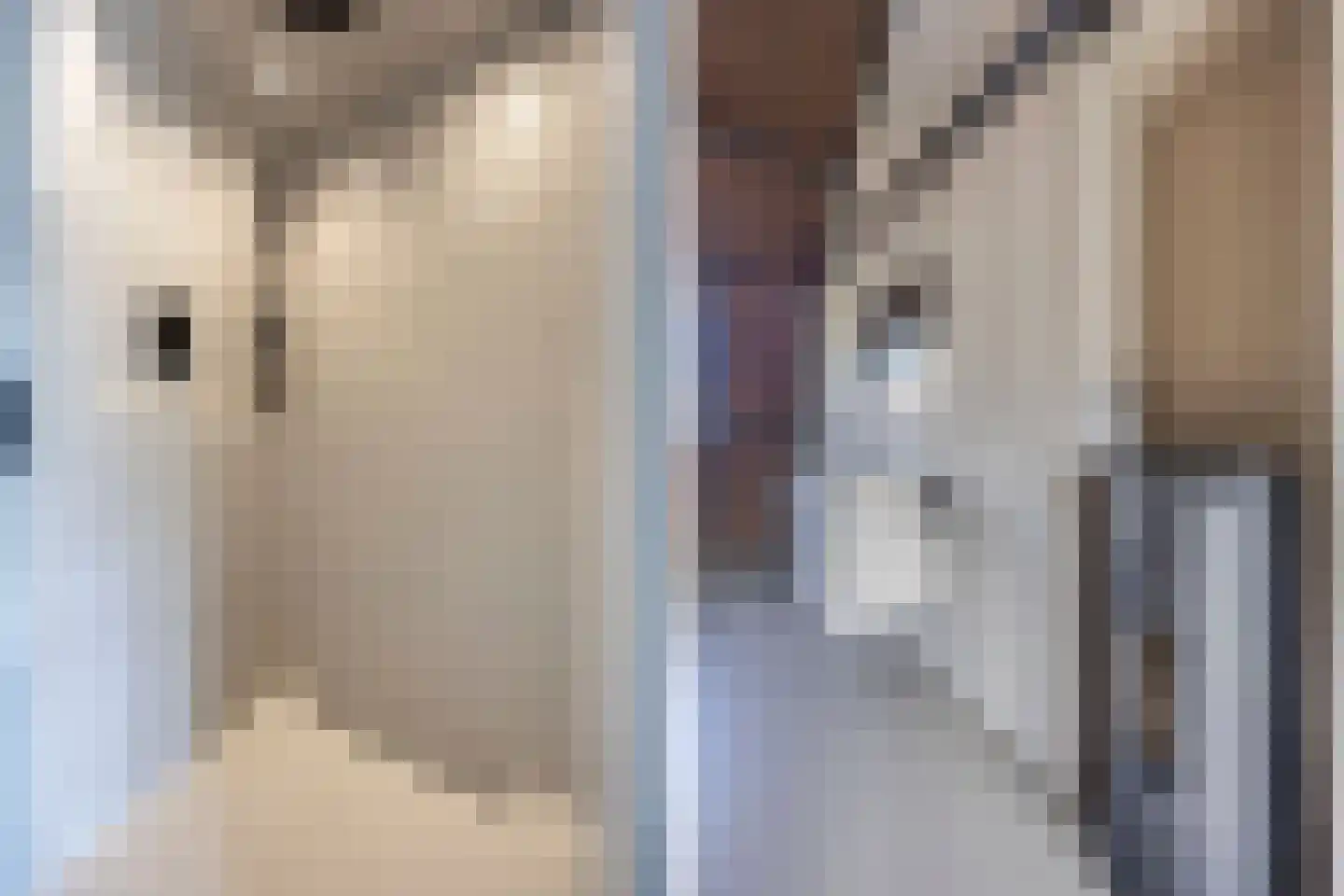 Creutzberglaan 88 Beverwijk thumbnail 37