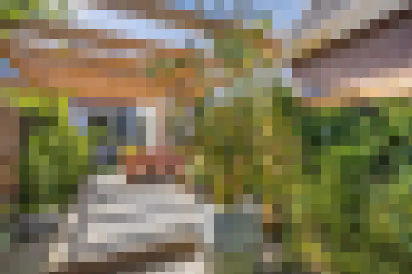 Creutzberglaan 88 Beverwijk thumbnail 45
