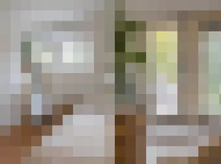 Creutzbergstraat 61 Arnhem thumbnail 27