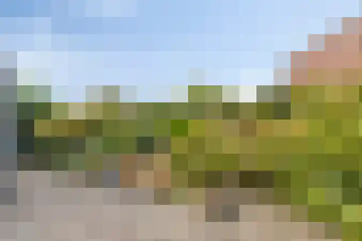 Crijnssenstraat 12 Axel thumbnail 18