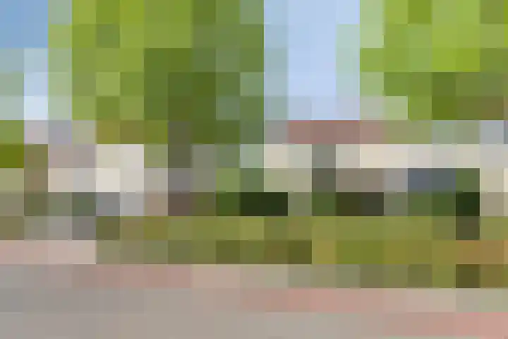 Crijnssenstraat 12 Axel thumbnail 23