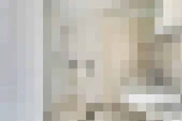 Crijnssenstraat 12 Axel thumbnail 9