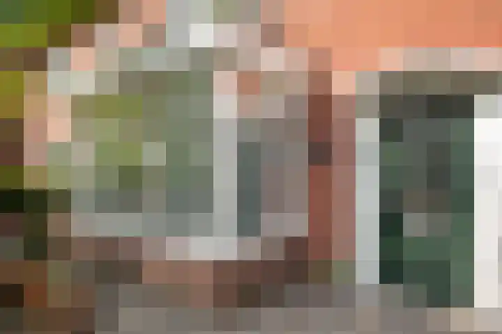 Crijnssenstraat 12 Santpoort-Noord thumbnail 7