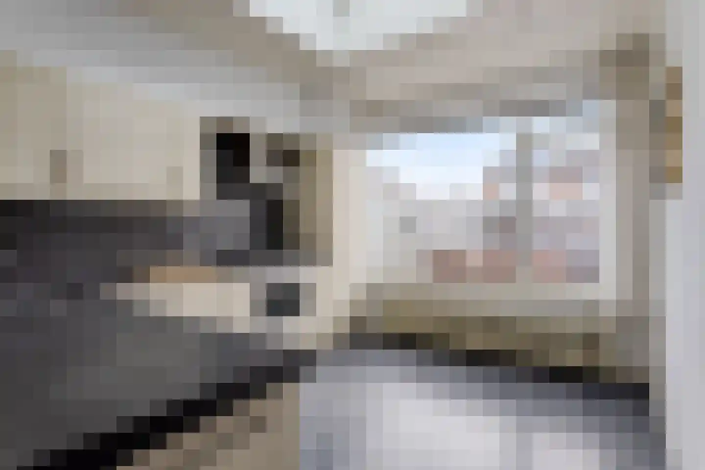 Crijnssenstraat 17 Veghel thumbnail 10
