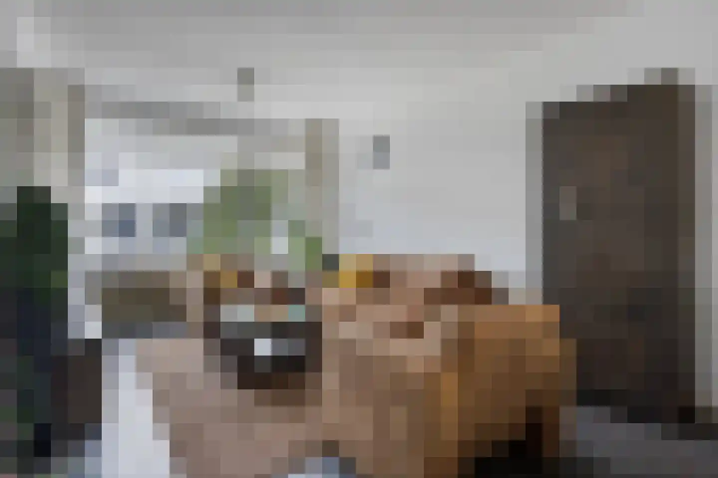 Crijnssenstraat 17 Veghel thumbnail 11