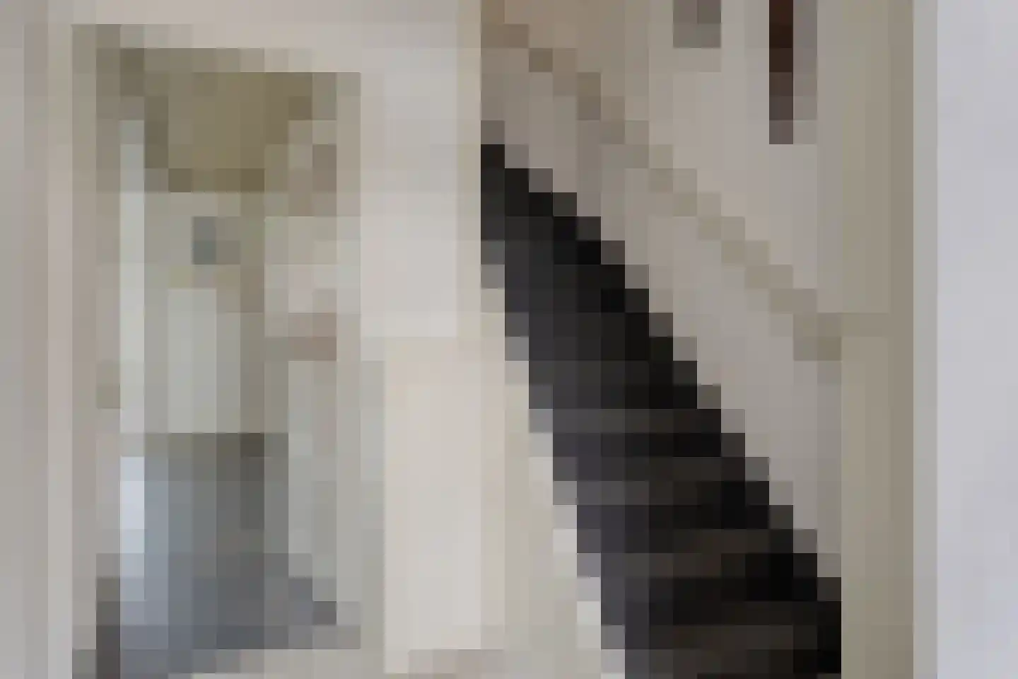 Crijnssenstraat 17 Veghel thumbnail 16